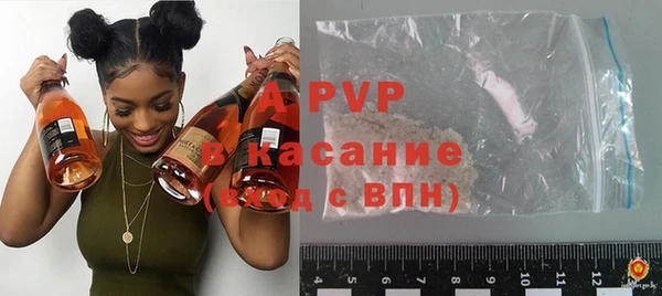 бошки Богданович