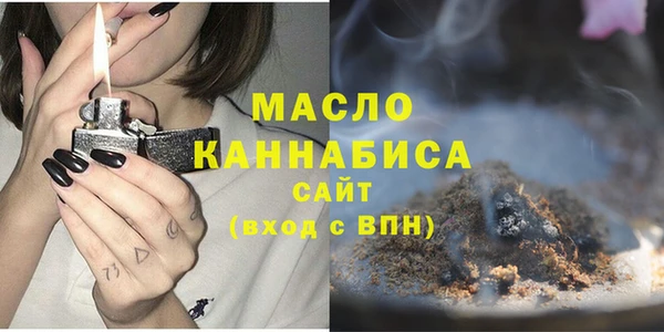 молекула духа Богородицк