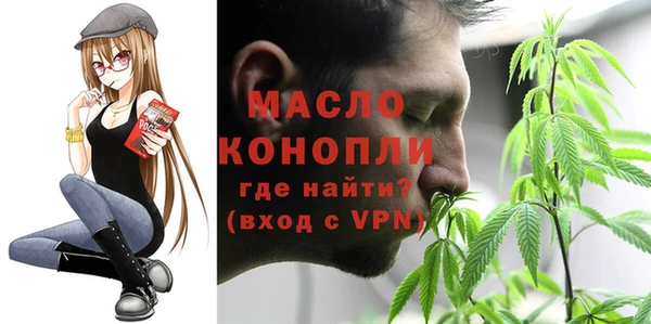 молекула духа Богородицк