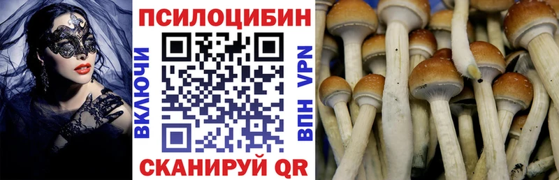 OMG ССЫЛКА  Дубна  Галлюциногенные грибы ЛСД 